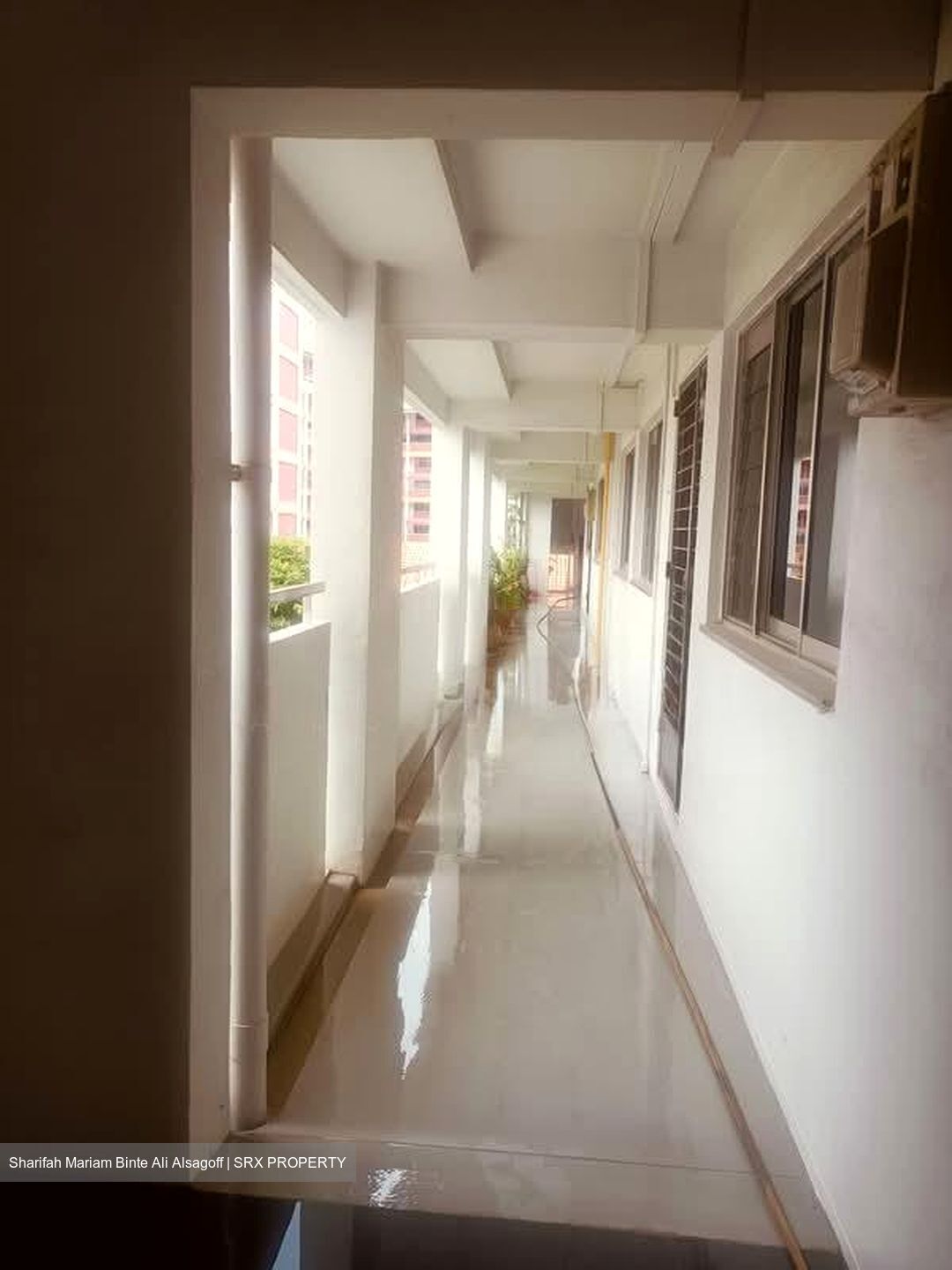 Blk 259 Bishan Street 22 (Bishan), HDB 4 Rooms #579774311